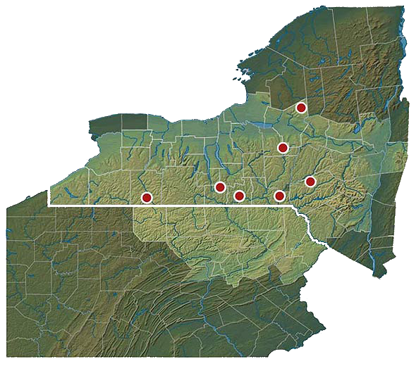 Procurement Map Wagner Lumber Sawmill in New York & Pennsylvania